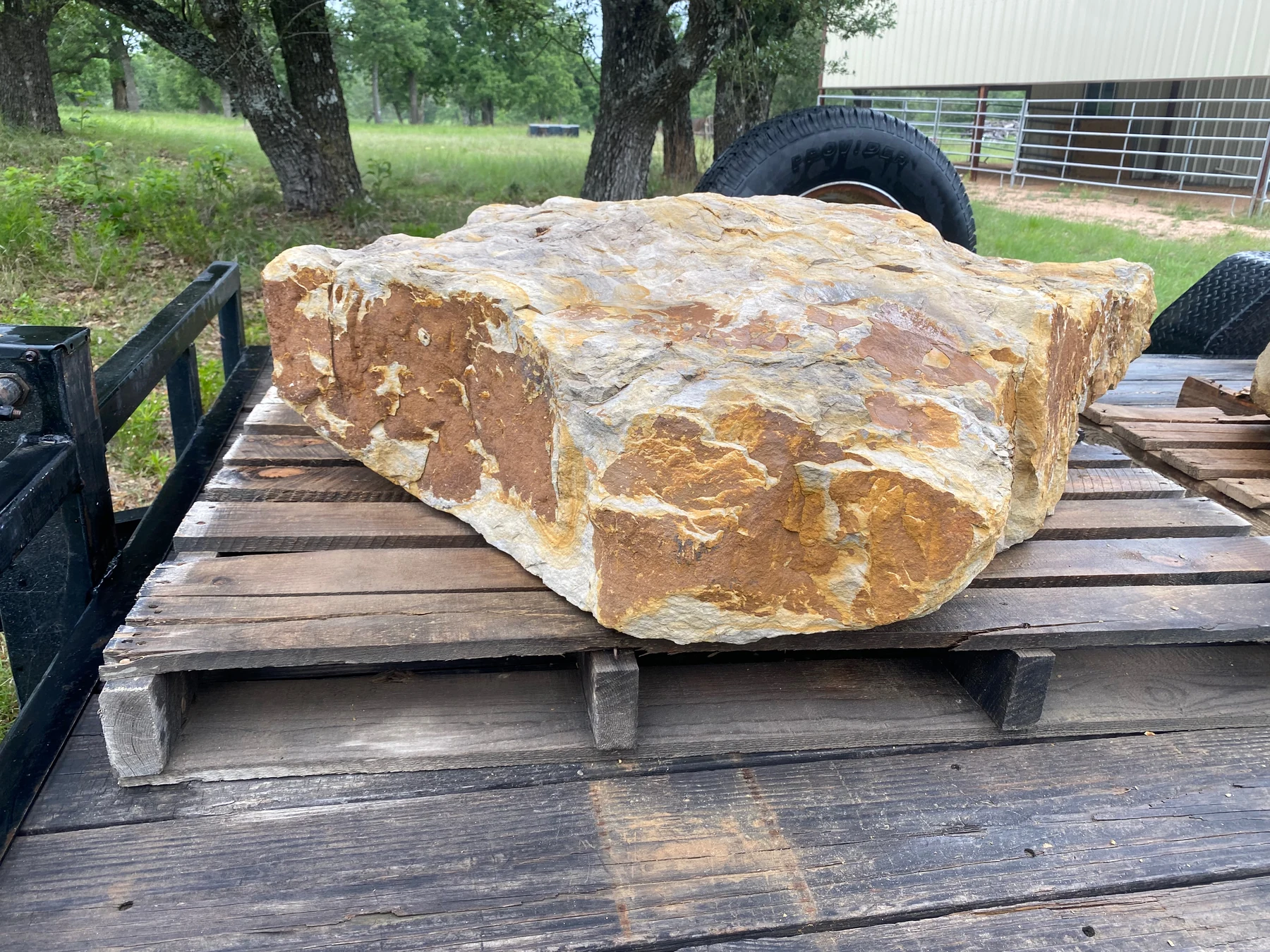 Large Breckenridge Gold slab showing broad natural face and rough edge